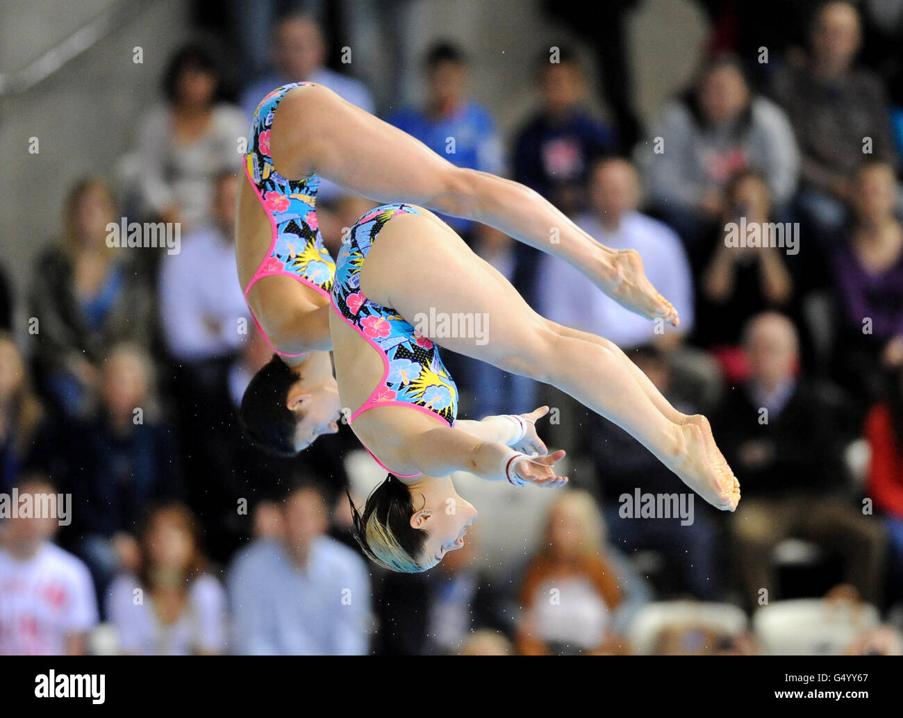 Germany's Nora Subschinski and Christin Steuer in their Women's Synchronised 10m Platform Final during the 18th FINA Visa Diving World Cup at the Aquatics Centre in the Olympic Park, London. Stock Photo