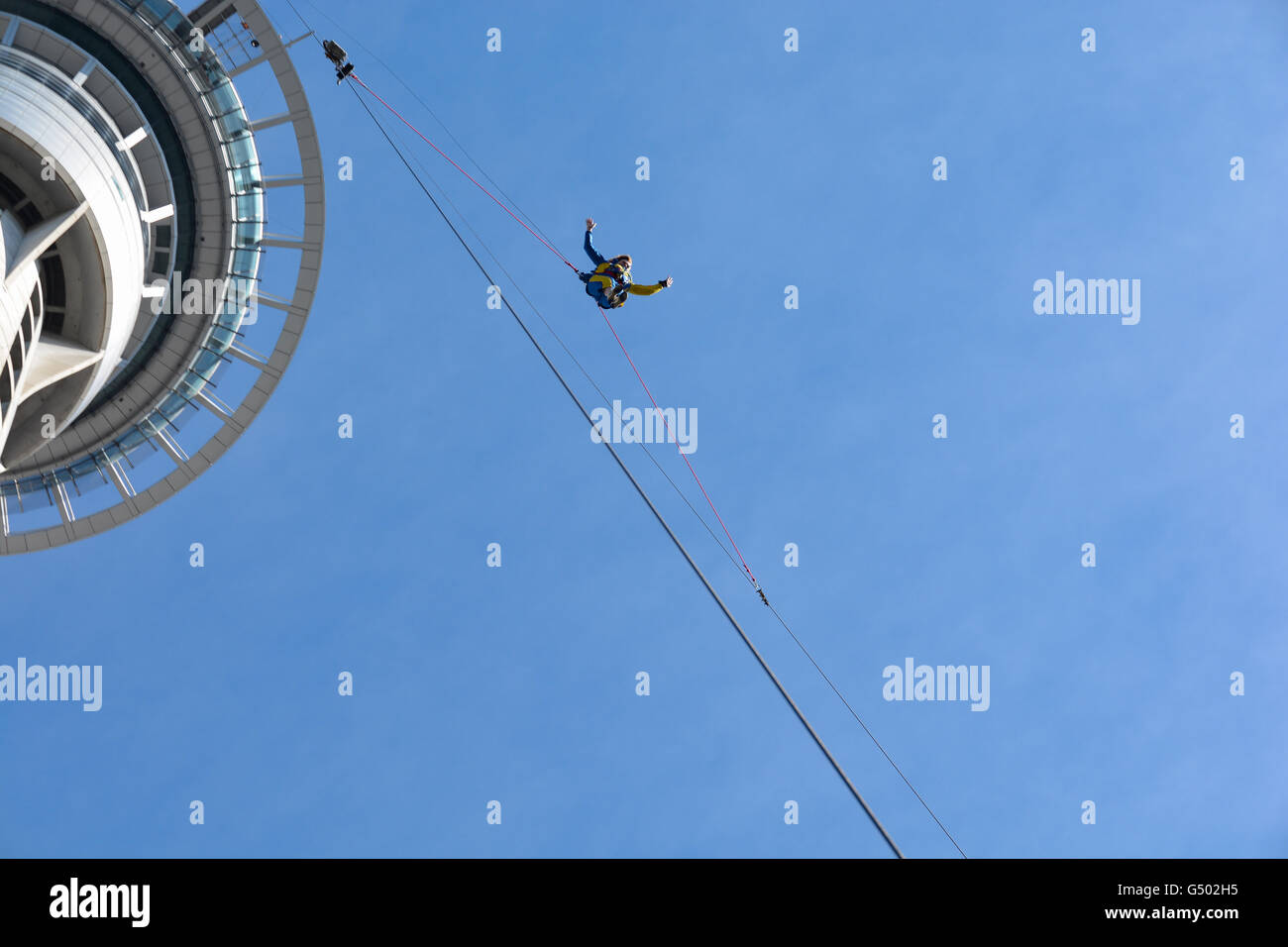 New Zealand, Auckland, SkyJump from the Sky Tower in Auckland, Skytower, Skyjump Stock Photo