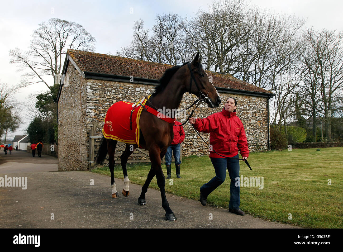 Horse Racing - David Pipe Stable Visit. Buena Vista is paraded during a visit to David Pipes Stables in Nicholashayne, Somerset. Stock Photo