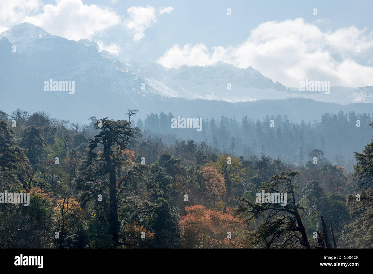 Bagarchhap High Resolution Stock Photography and Images - Alamy