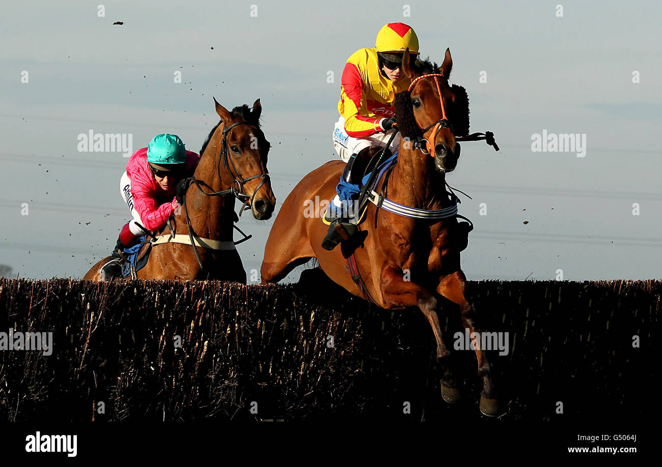 Only Witness ridden by jockey Brendan Powell jumps the last fence to win the Cogent Ltd John Bigg Oxo Handicap Steeple Chase at Huntingdon Racecourse Stock Photo