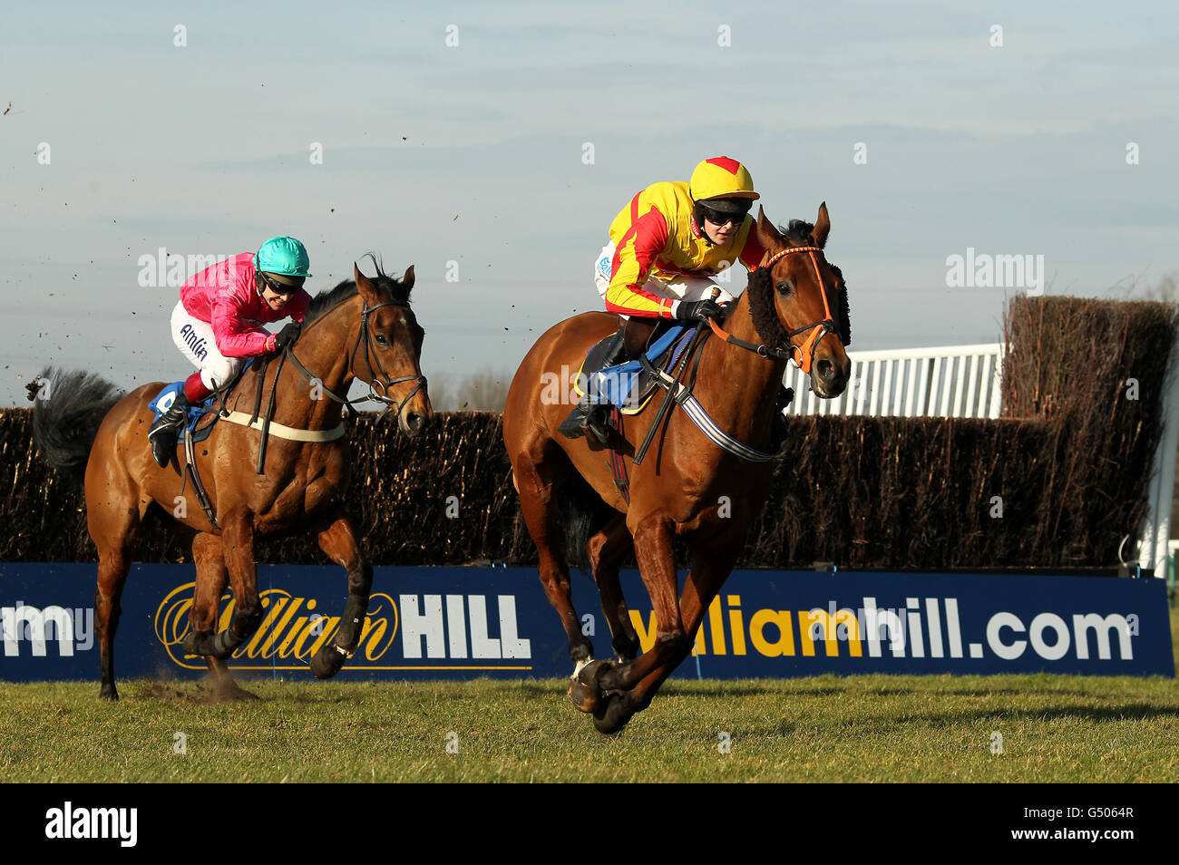 Horse Racing - Sidney Banks - Huntingdon Racecourse Stock Photo