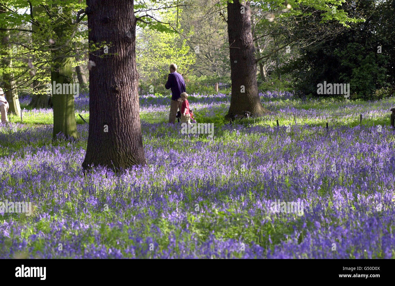 Springtime Kew Gardens Stock Photo