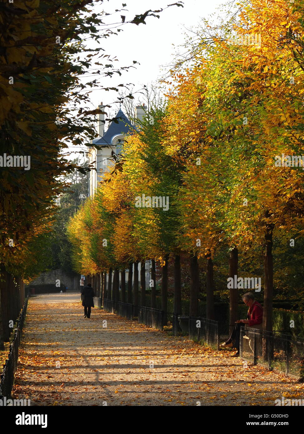 Autumn leaves decorate a wide pathway in the park at Sceaux, Il de France Stock Photo