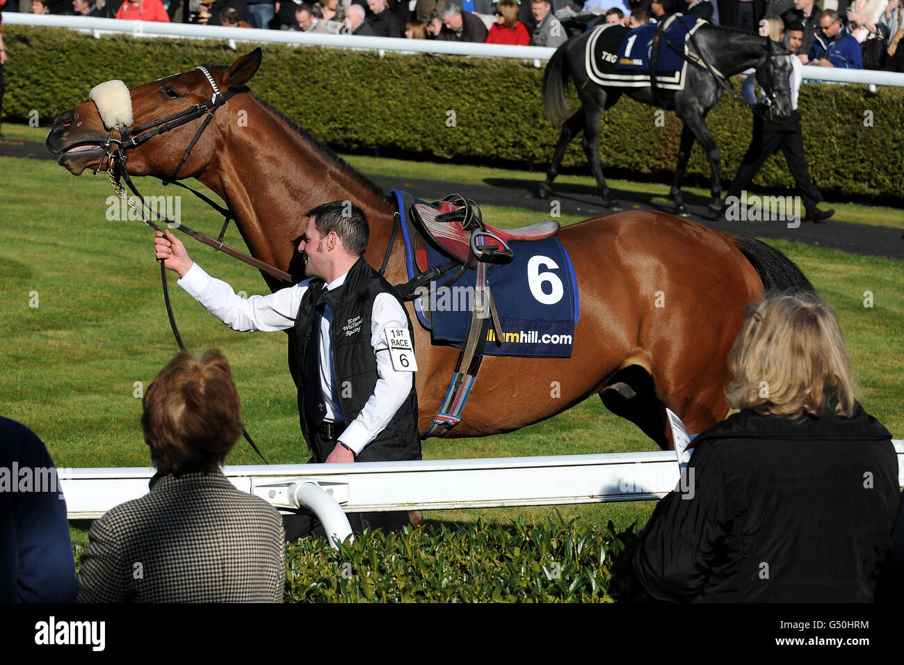 Horse Racing Racing Plus Chase Day Kempton Park Stock Photo Alamy