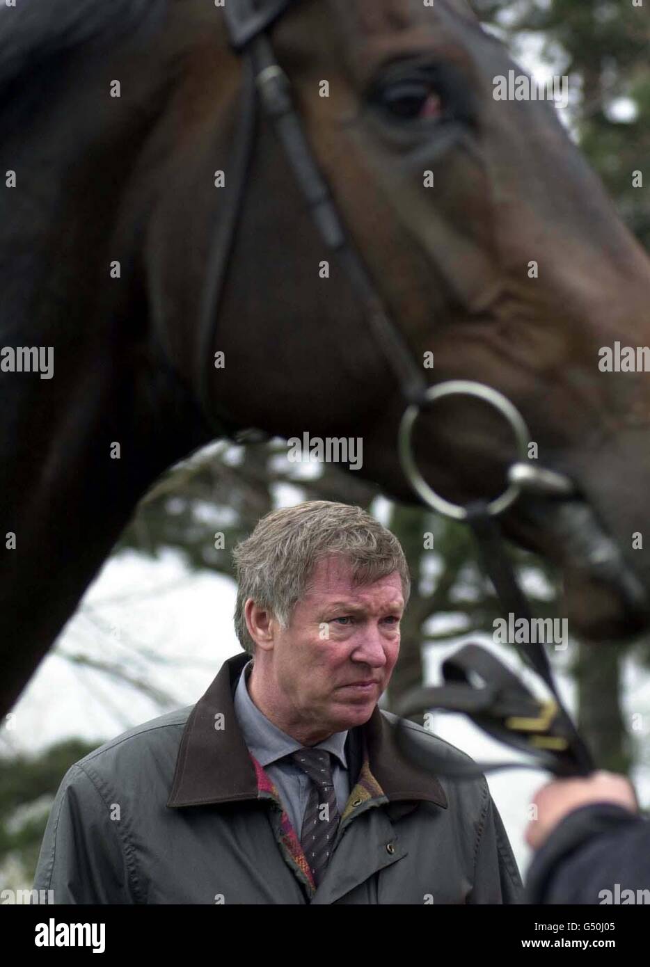 Alex Ferguson Stock Photo