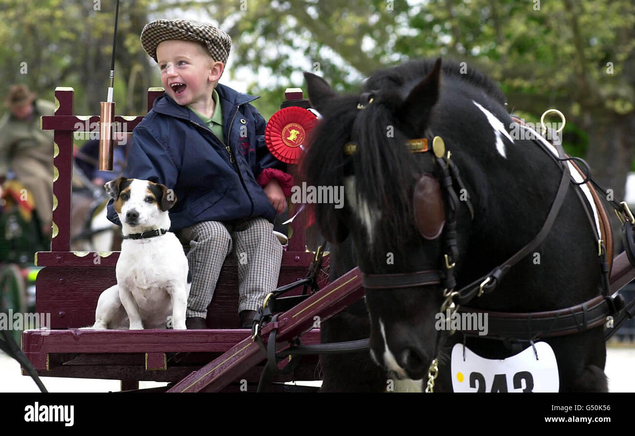 Two year old Jack Cooke, the youngest competitor in the London Harness Horse Parade, is accompanied by his dog Georgie as he drives Uncle Albert through Battersea Park. The event began in 1886 to raise the standards of care and handling of horses in the capital. * used for transport and is a popular fixture in the London Easter calendar. Londoners go to the polls May 4 2000 to select a Mayor. Stock Photo