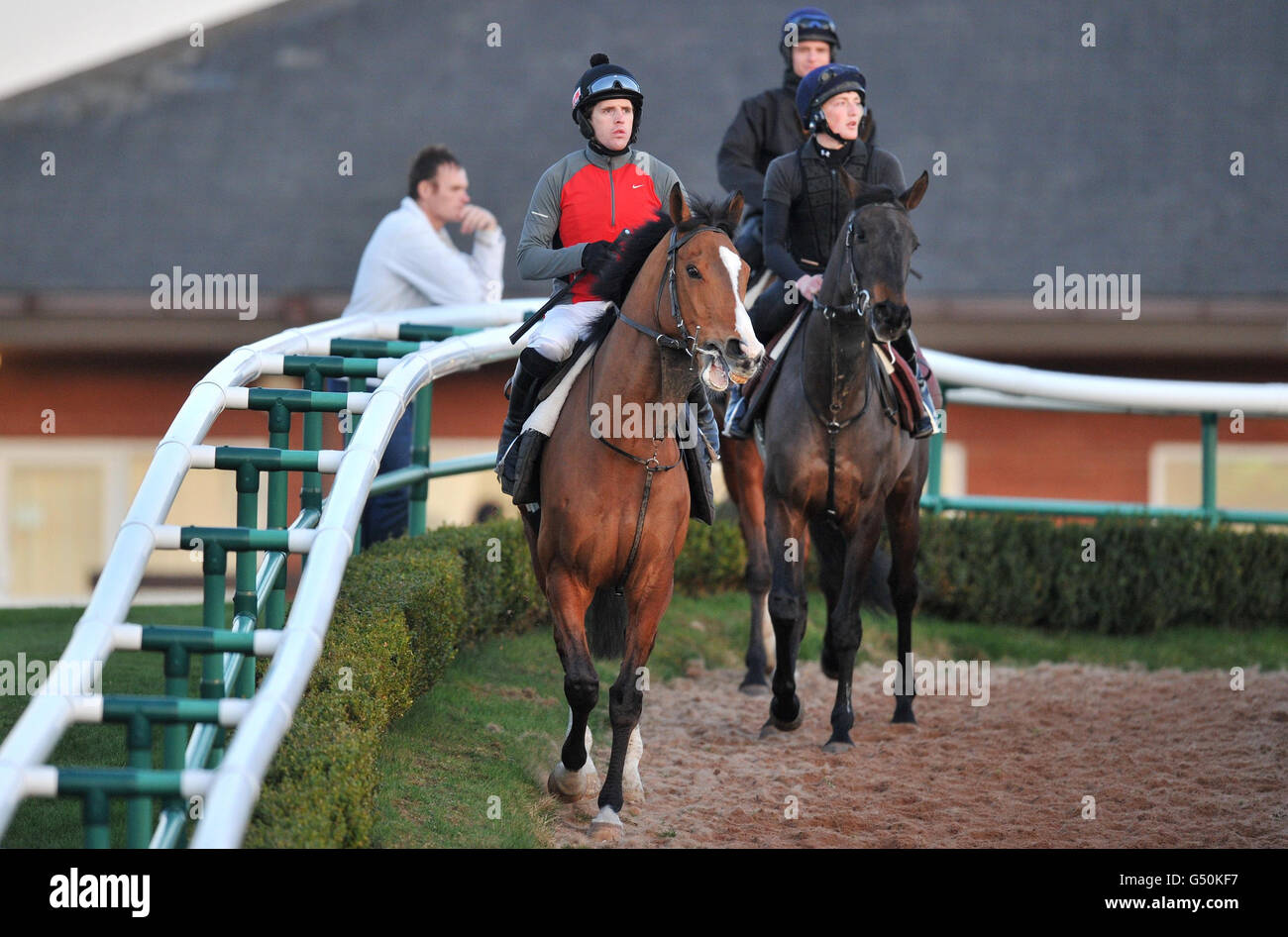 On gallops bangor racecourse hi-res stock photography and images - Alamy