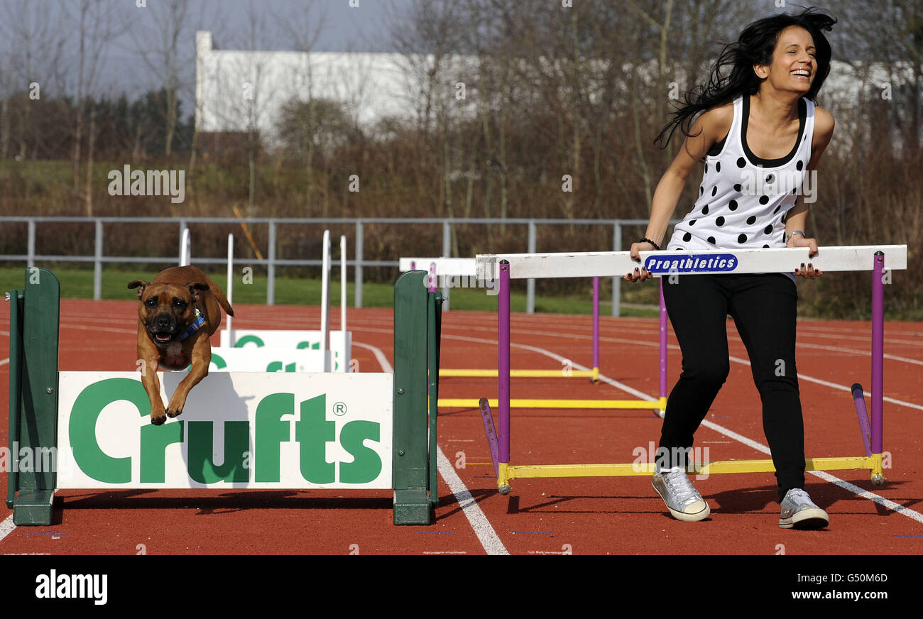 Crufts presenter Sonali Shah tries out her hurdling skills against 'Bacon' a Staffordshire Bull Terrier and member of the Agility Display Team at Lea Valley Athletics Track at the launch of Crufts 2012. Stock Photo