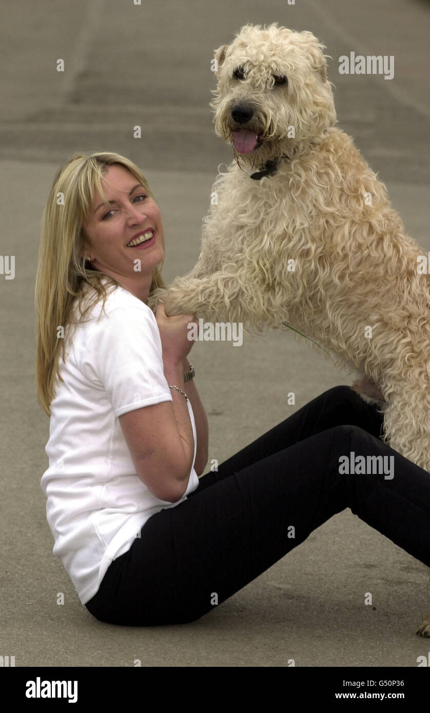 Popular model and animal lover Heather Mills, with her soft coated Wheaton terrier 'Oliver', pose in Regents park, London . Heather and Oliver were in the park to promote better pet ownership, a new web site which offers pet lovers help and advice. Stock Photo