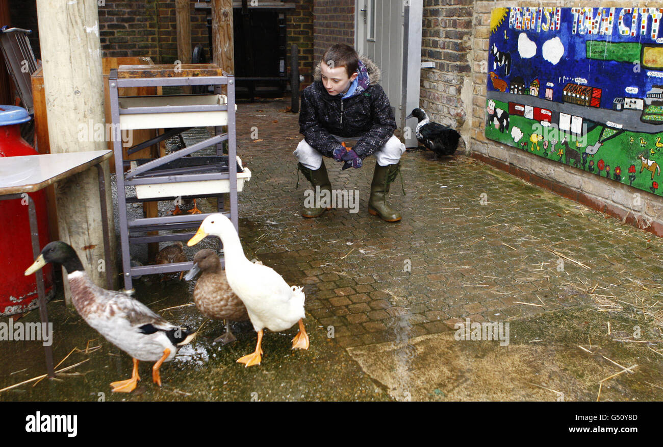 Kentish Town City Farm Stock Photo Alamy