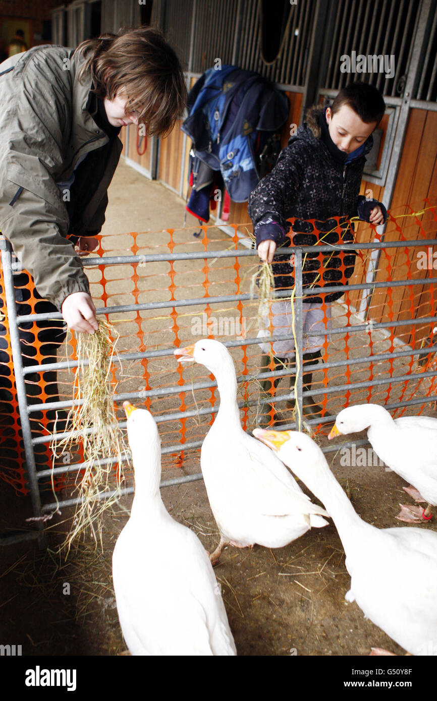 Kentish Town City Farm Stock Photo Alamy