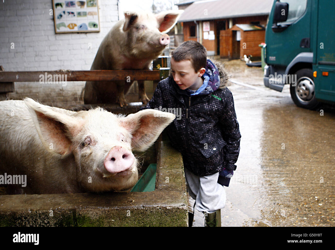 Kentish Town City Farm Stock Photo Alamy
