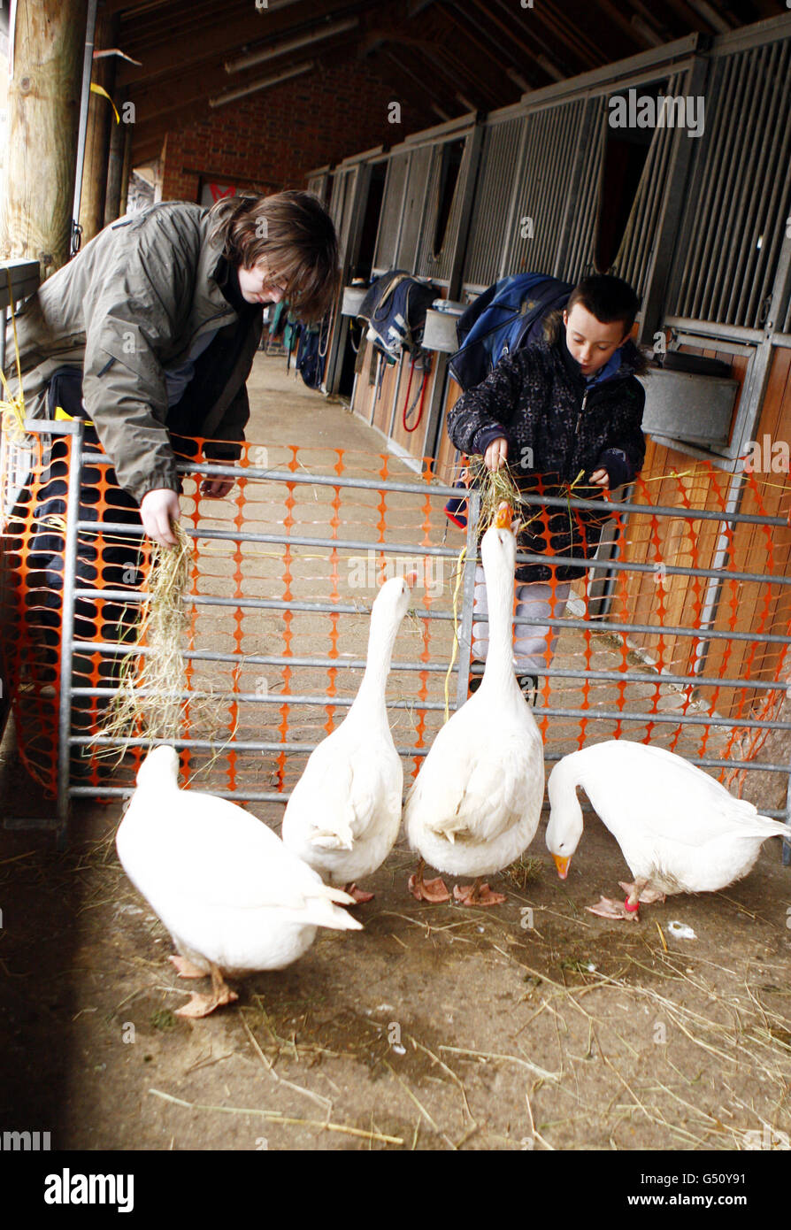 Kentish Town City Farm Stock Photo Alamy