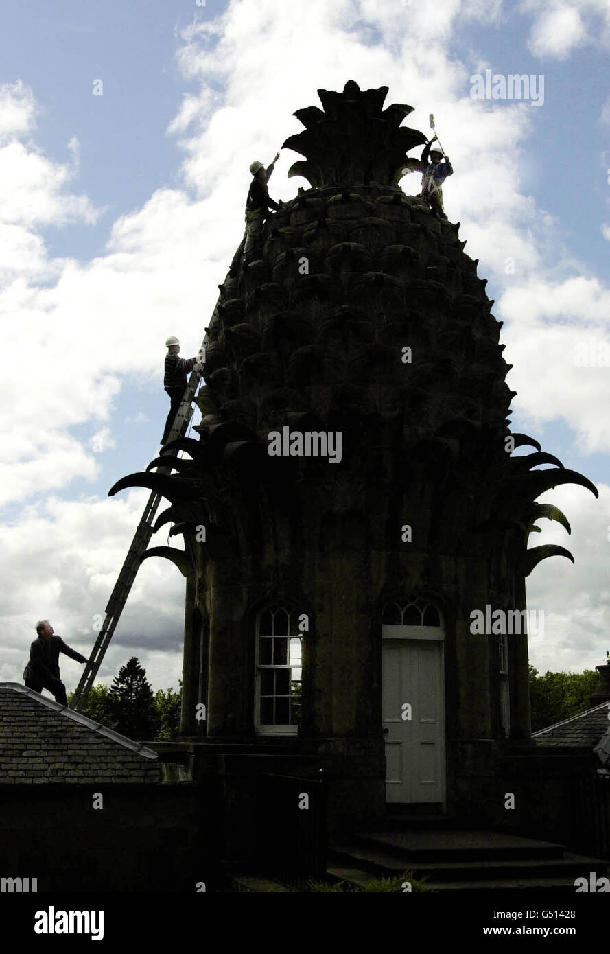 Pineapple house building exterior ladder workers hires stock