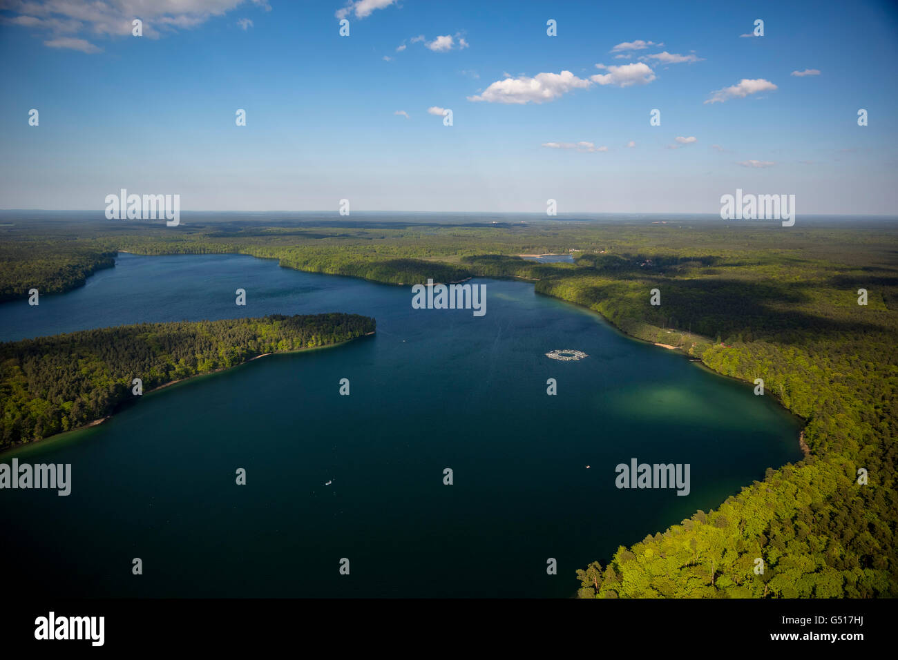 Aerial view, Aquaculture coregonus fontanae, Aquaculture, Aquaculture, fish traps, the Great Stechlin, Rhein Mountain Lake Area Stock Photo