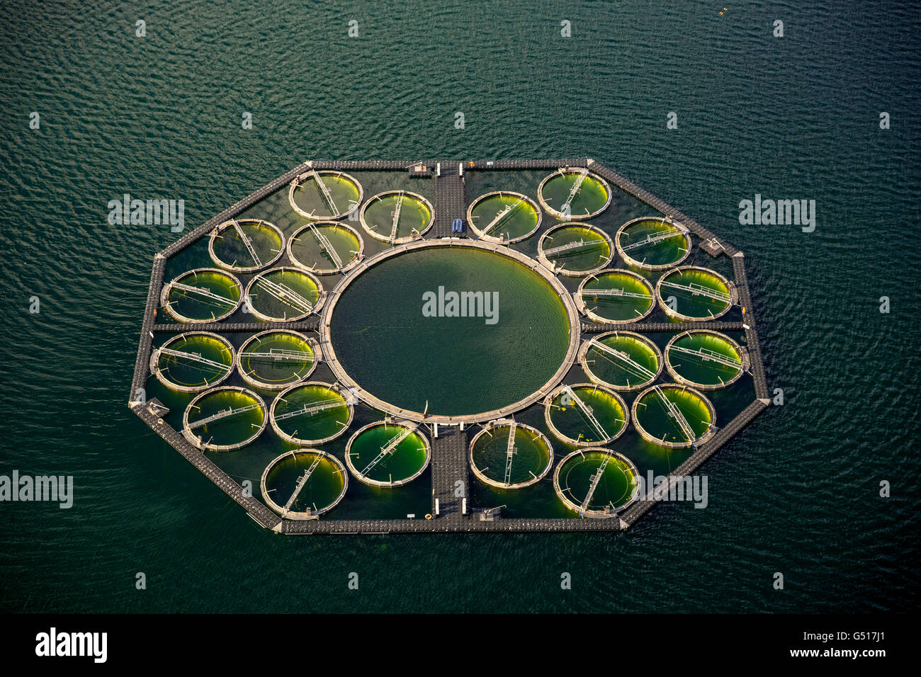 Aerial view, pisciculture coregonus fontanae, fish farming, Aquaculture, fish traps, the Great Stechlin, Rhein Mountain Lake Stock Photo