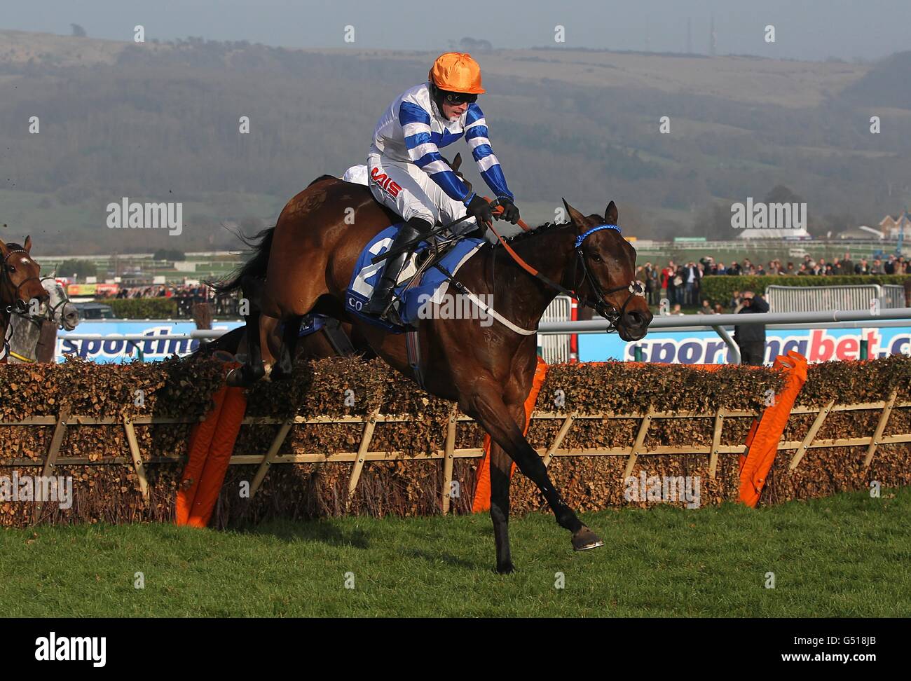 Page 5 - Flicka High Resolution Stock Photography and Images - Alamy