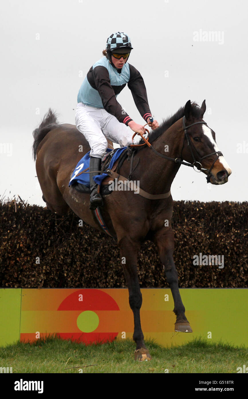 Horse Racing - Wincanton Racecourse. Shannons Boy ridden by Hadden Frost during the Grolsch Handicap Steeple Chase Stock Photo