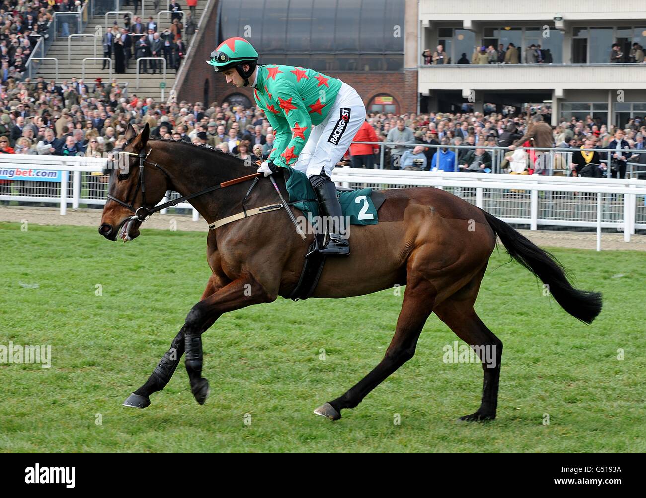 Allee Garde ridden by jockey Patrick Mullins going to post prior to the Diamond Jubilee National Hunt Chase during the Cheltenham Festival Stock Photo