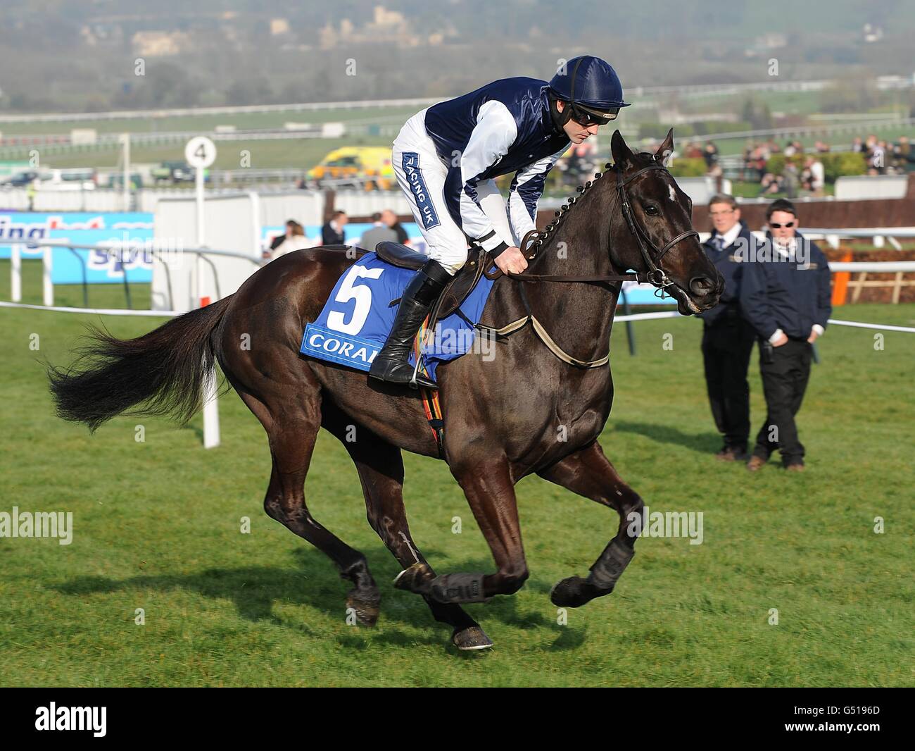 Final Approach ridden by jockey Ruby Walsh going to post prior to the Coral Cup on Ladies Day, during the Cheltenham Festival. Stock Photo