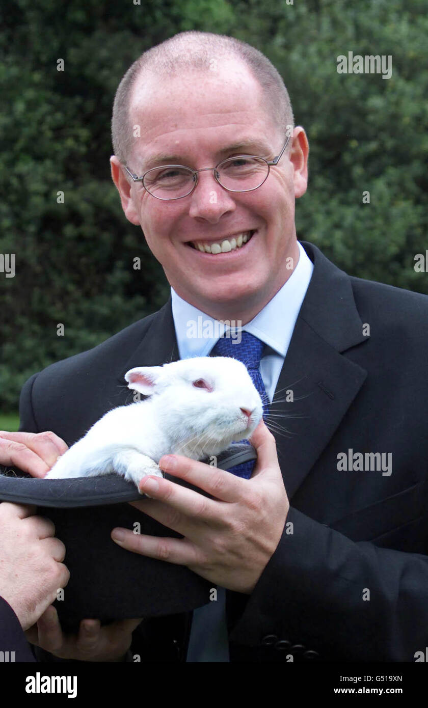 The barings bank trader nick leeson pulls rabbit from hat hires stock
