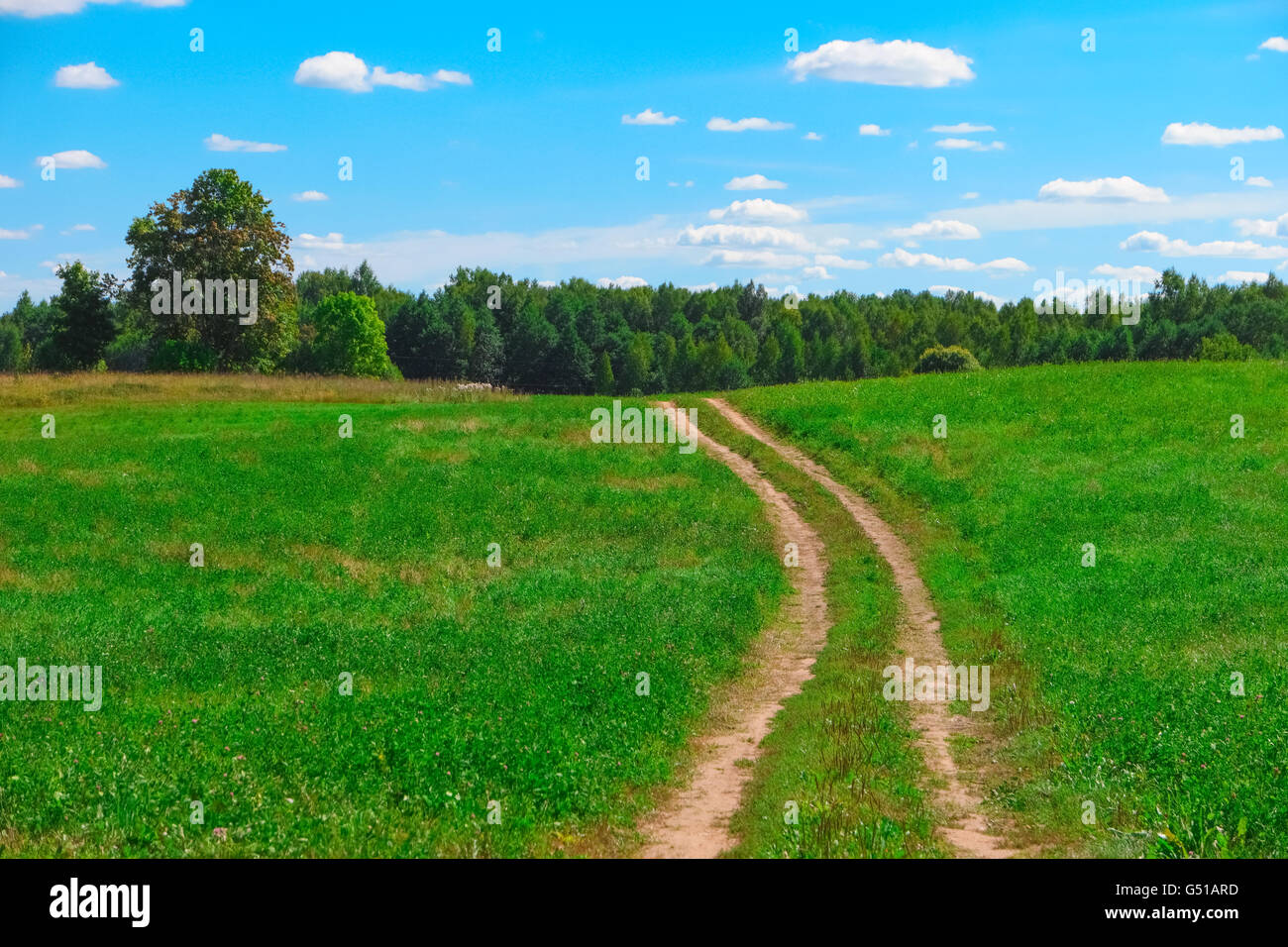 Summer landscape with country road, grass, trees, sky and clouds Stock Photo
