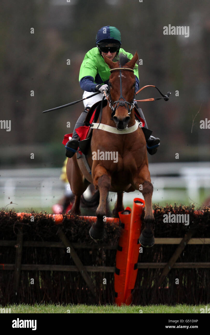 Den Maschine ridden by LBdr Sally Randell jumps the last on the way to winning The Annington Amateur riders' handicap hurdle race Stock Photo