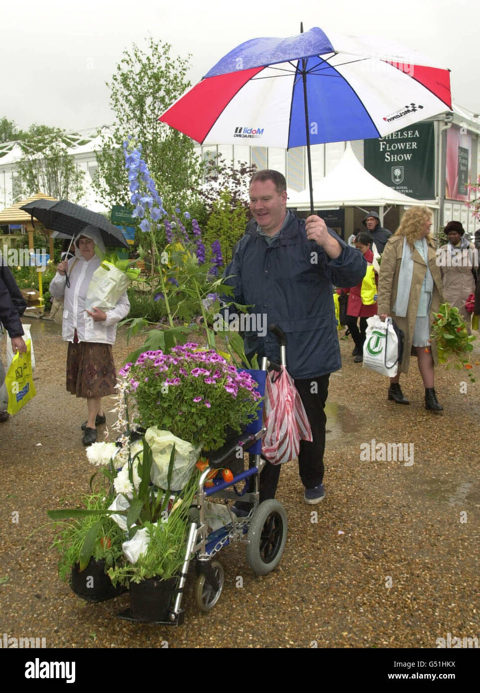 A visitor leaves the Chelsea Flower Show cheerful despite the downpour, having bought some of the exhibits which were for sale on it's final day. Stock Photo