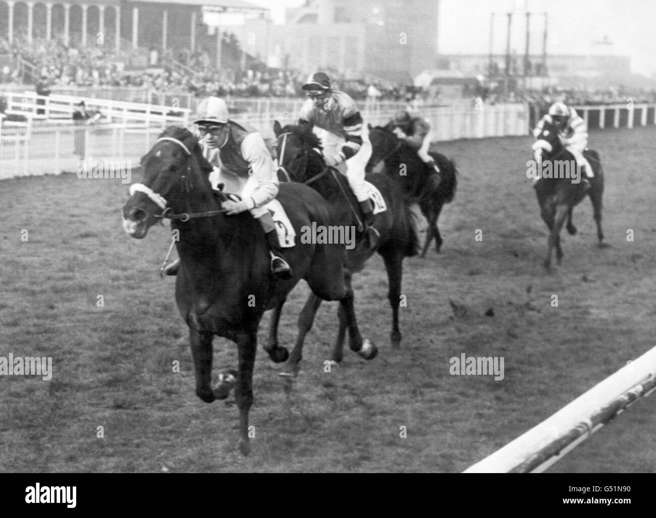 Finish of the Liverpool Spring Cup at Aintree with Sir Harold Wernher's High Perch, ridden by Jimmy Lindley, winning from Sir C. Gardiner's Dairialatan, with D.W. Morris up. Third is J. McGrath's Arcticeelagh, ridden by D. Ryan. Stock Photo