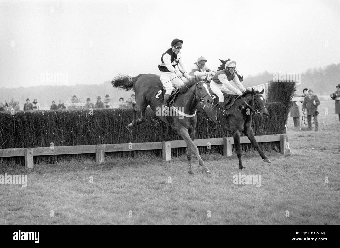 Fort Devon (2) with Bill Smith in the saddle and Bachelor's Hall, Martin O'Halloran up, take the last fence together before Bachelor's Hall went on to win the race. Stock Photo