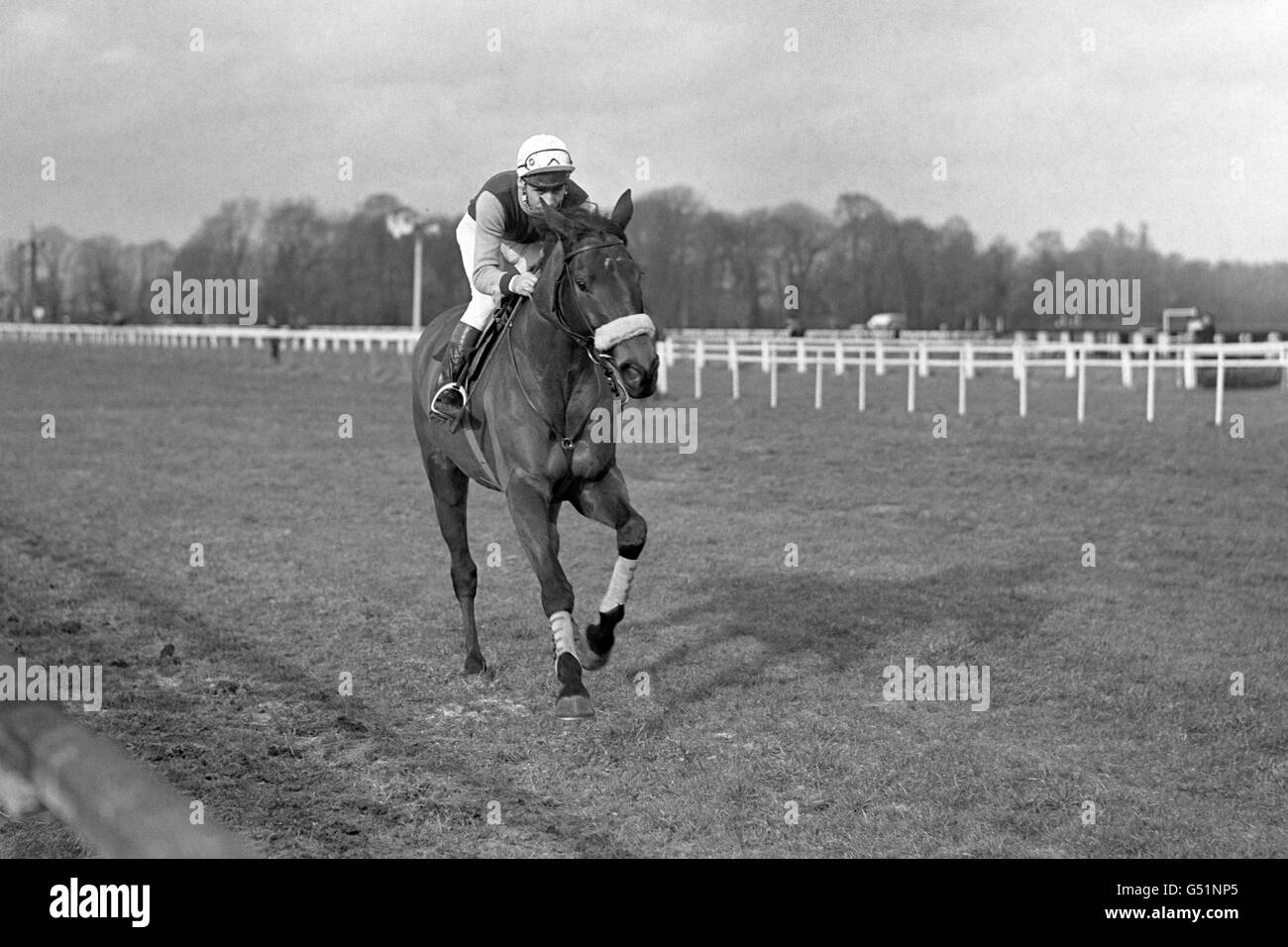 Horse Racing Kempton Races. Persian War, owned by Mrs Alpers with J