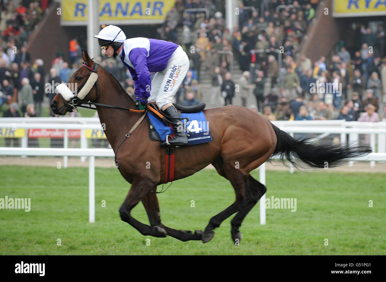Russian War ridden by Peter Carberry going to post for the Pertemps Final, on St Patrick's Thursday, during Cheltenham Festival. Stock Photo