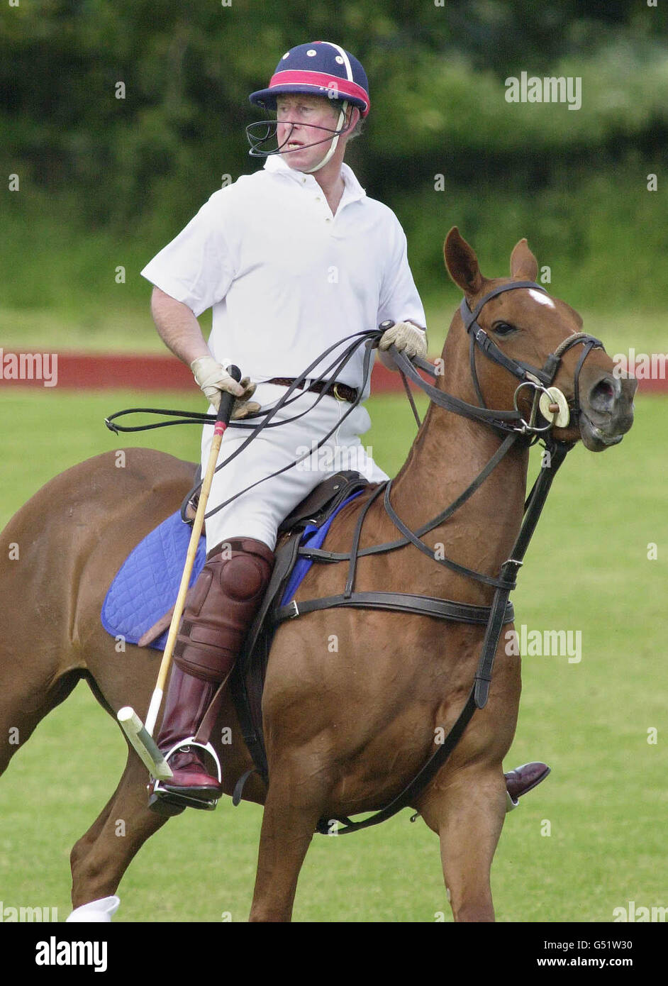 Prince Charles Polo Horse Stock Photos & Prince Charles Polo Horse ...