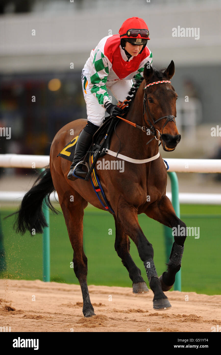 Jockey miss georgina andrews hi-res stock photography and images - Alamy