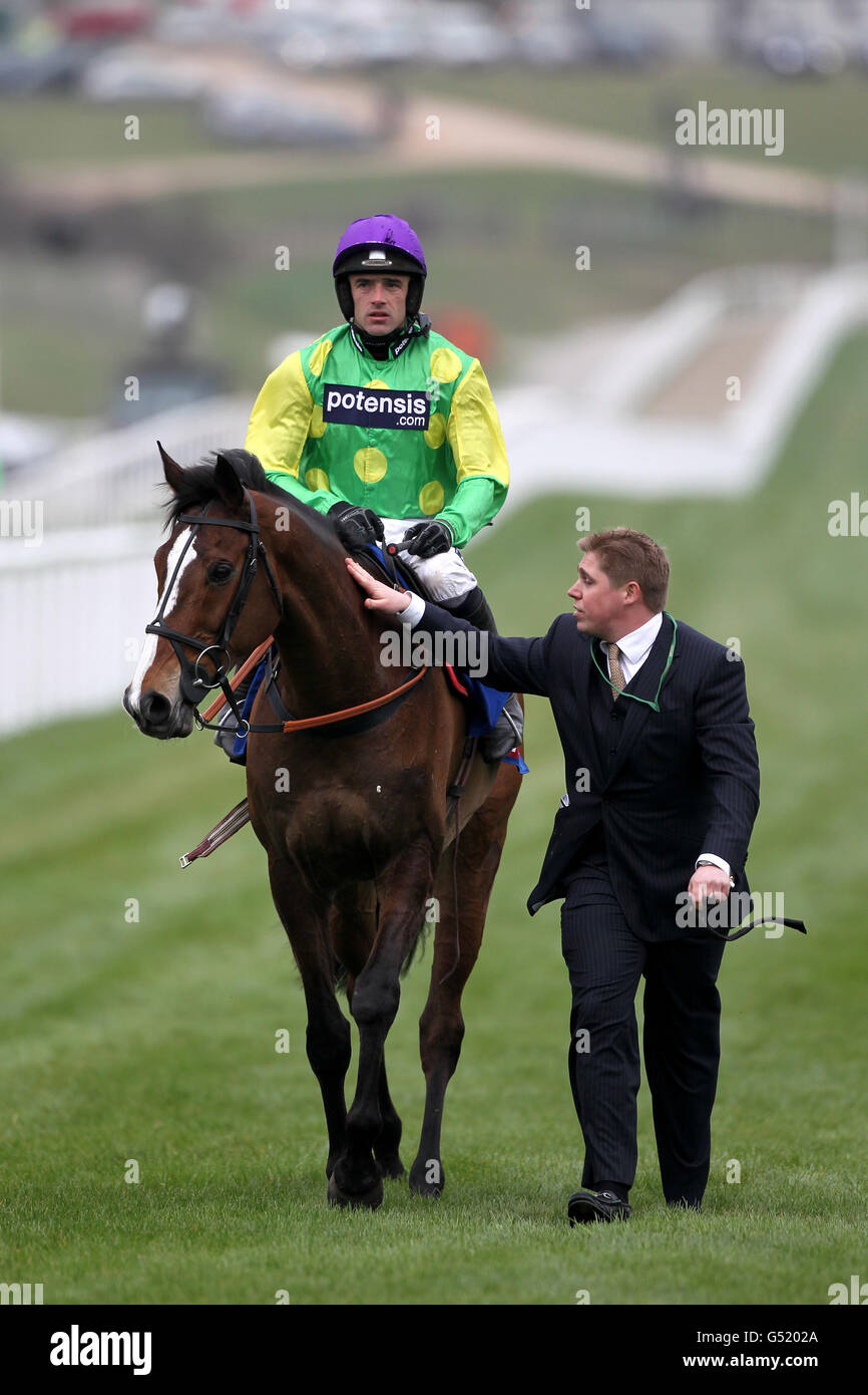 Horse Racing - 2012 Cheltenham Festival - Day Four - Cheltenham Racecourse. Kauto Star and jockey Ruby Walsh are led back to the stables after Kauto Star was pulled up during the Betfred Cheltenham Gold Cup Chase Stock Photo
