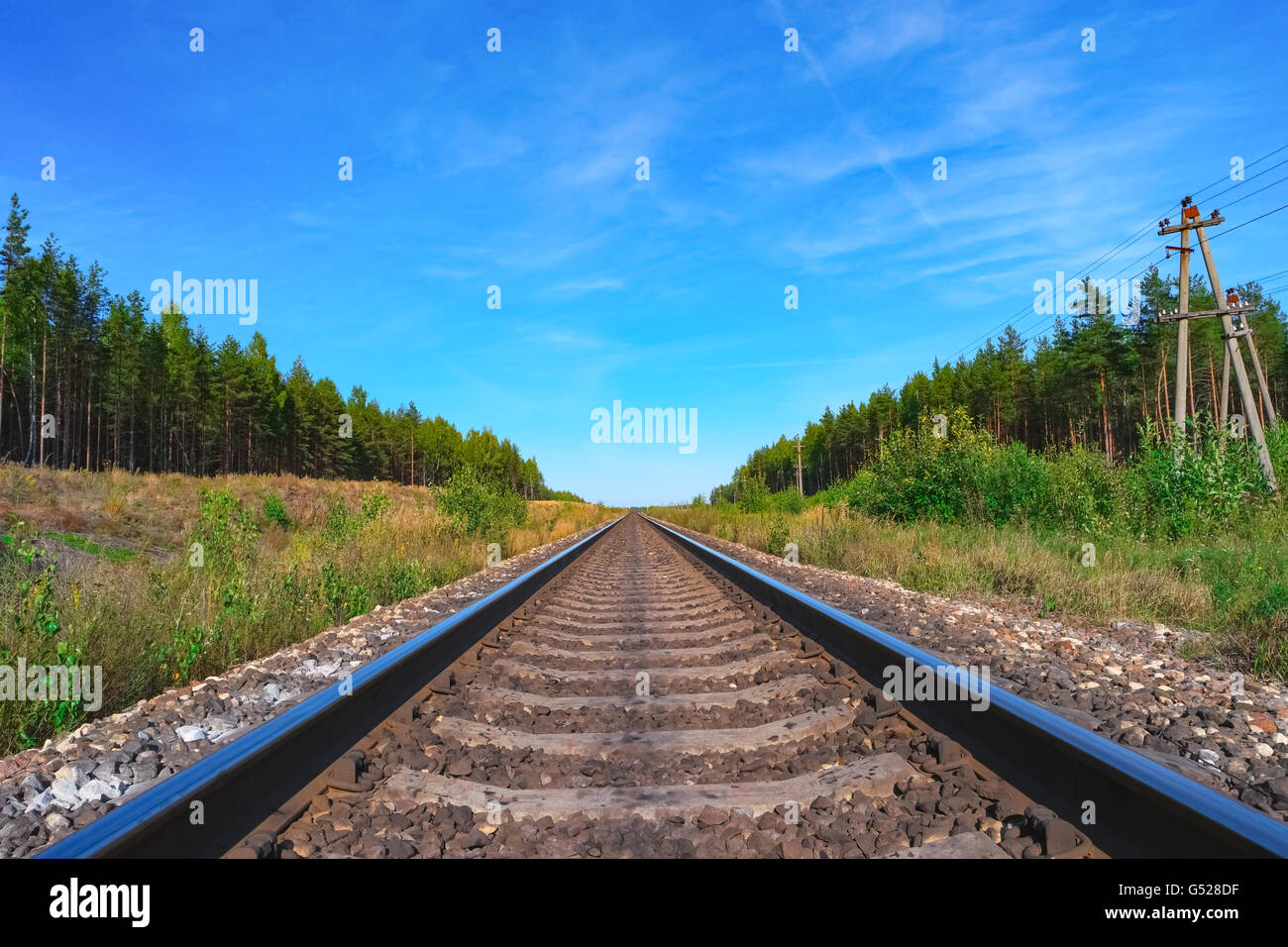 Railroad track with green forest on both sides Stock Photo