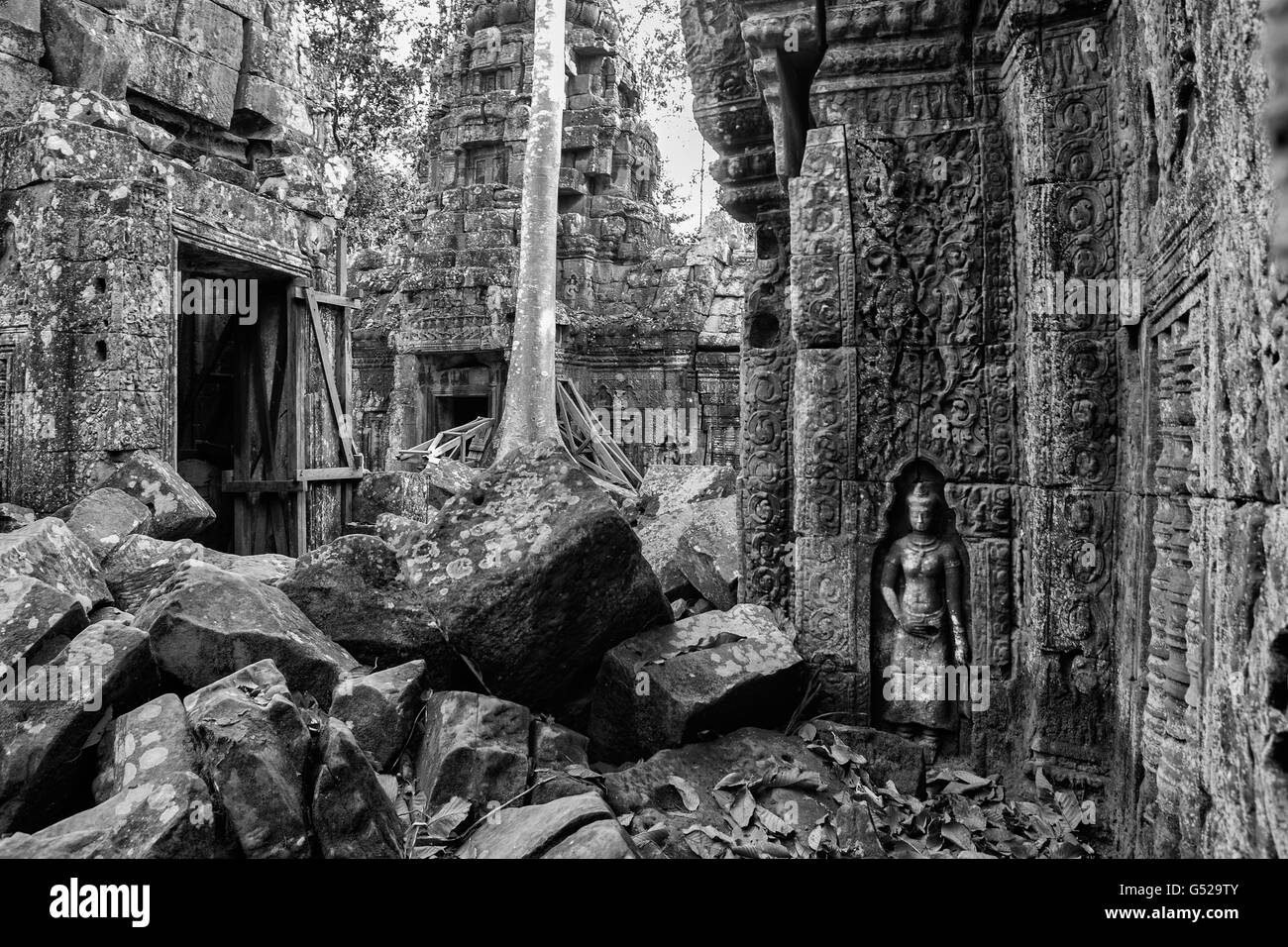 Asia, Cambodia, Siem Reap, Angkor, Ta Nei jungle temple Stock Photo