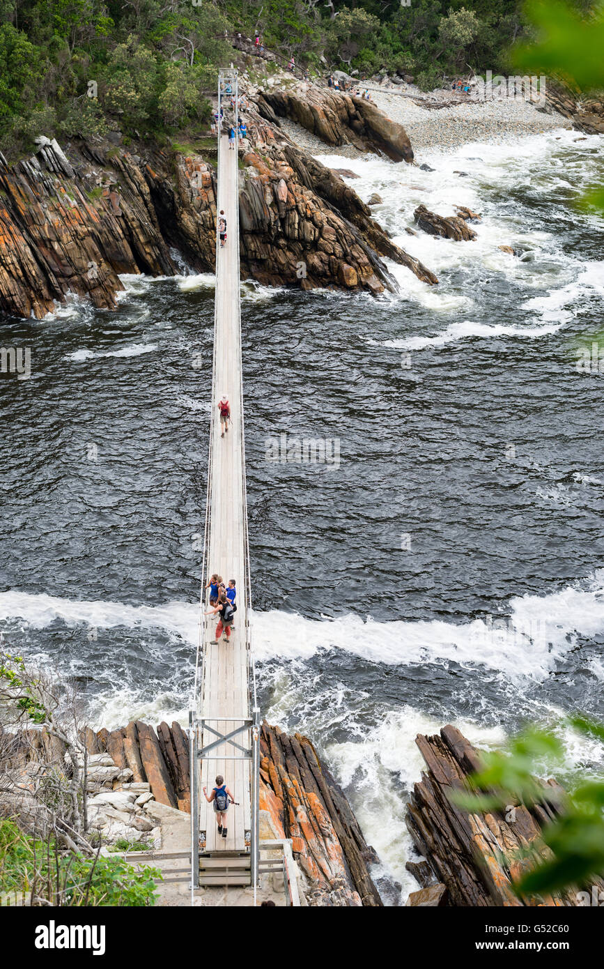 South Africa, Eastern Cape, Western District, Garden Route, Otter Trail