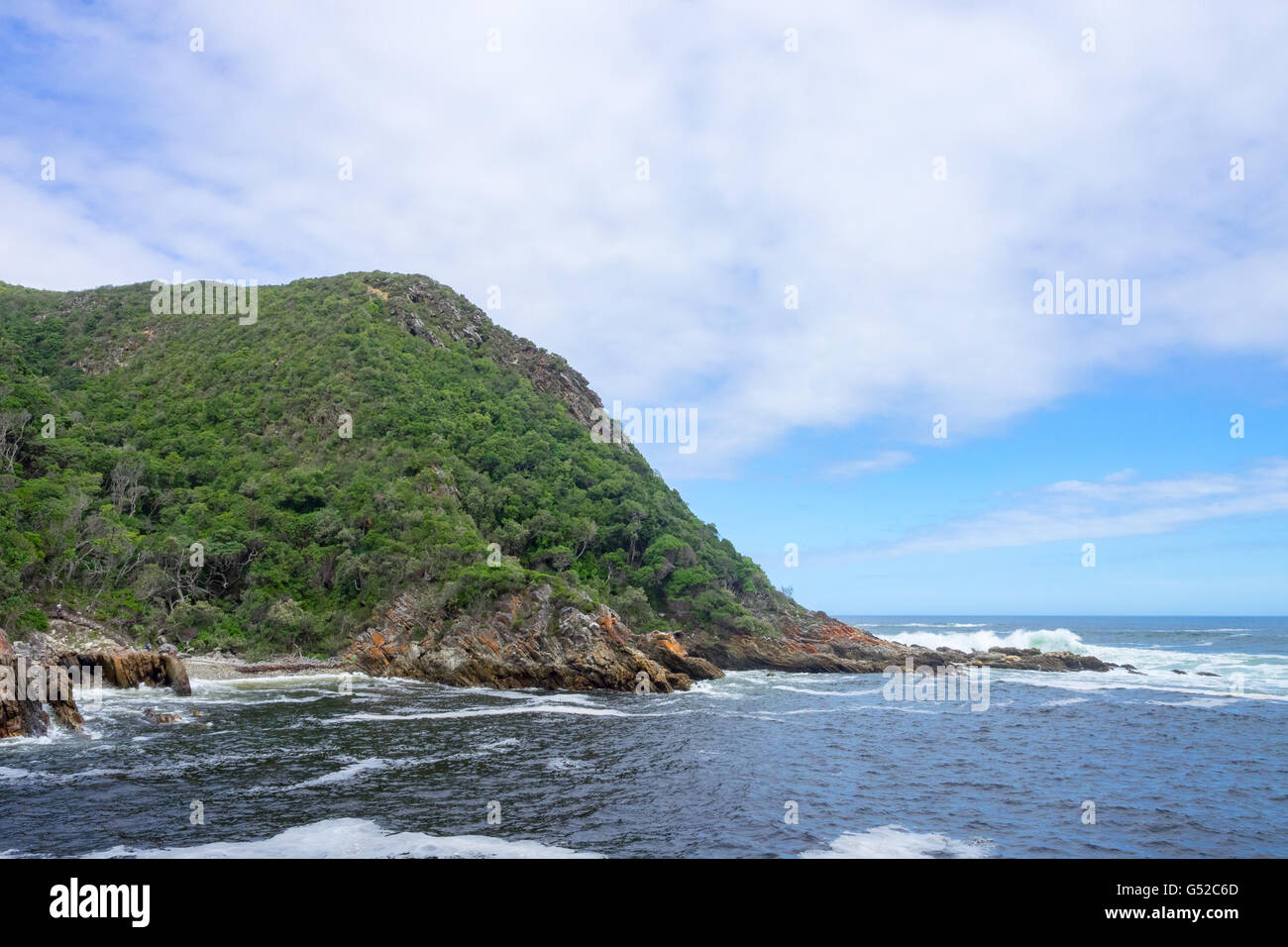 South Africa, Eastern Cape, Western District, Garden Route, Otter Trail