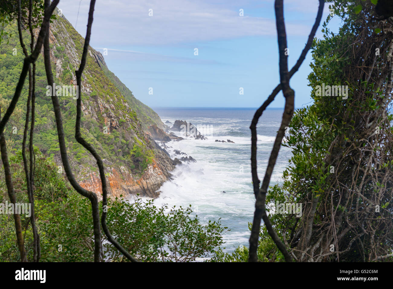 South Africa, Eastern Cape, Western District, Garden Route, Otter Trail