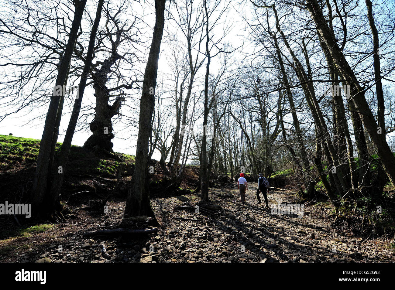 Walkers make their way along the dried up bed of the River Riccal near Helmsley, North Yorkshire, as more areas of the country are in drought following another dry month which has hit rivers and groundwater supplies. Stock Photo
