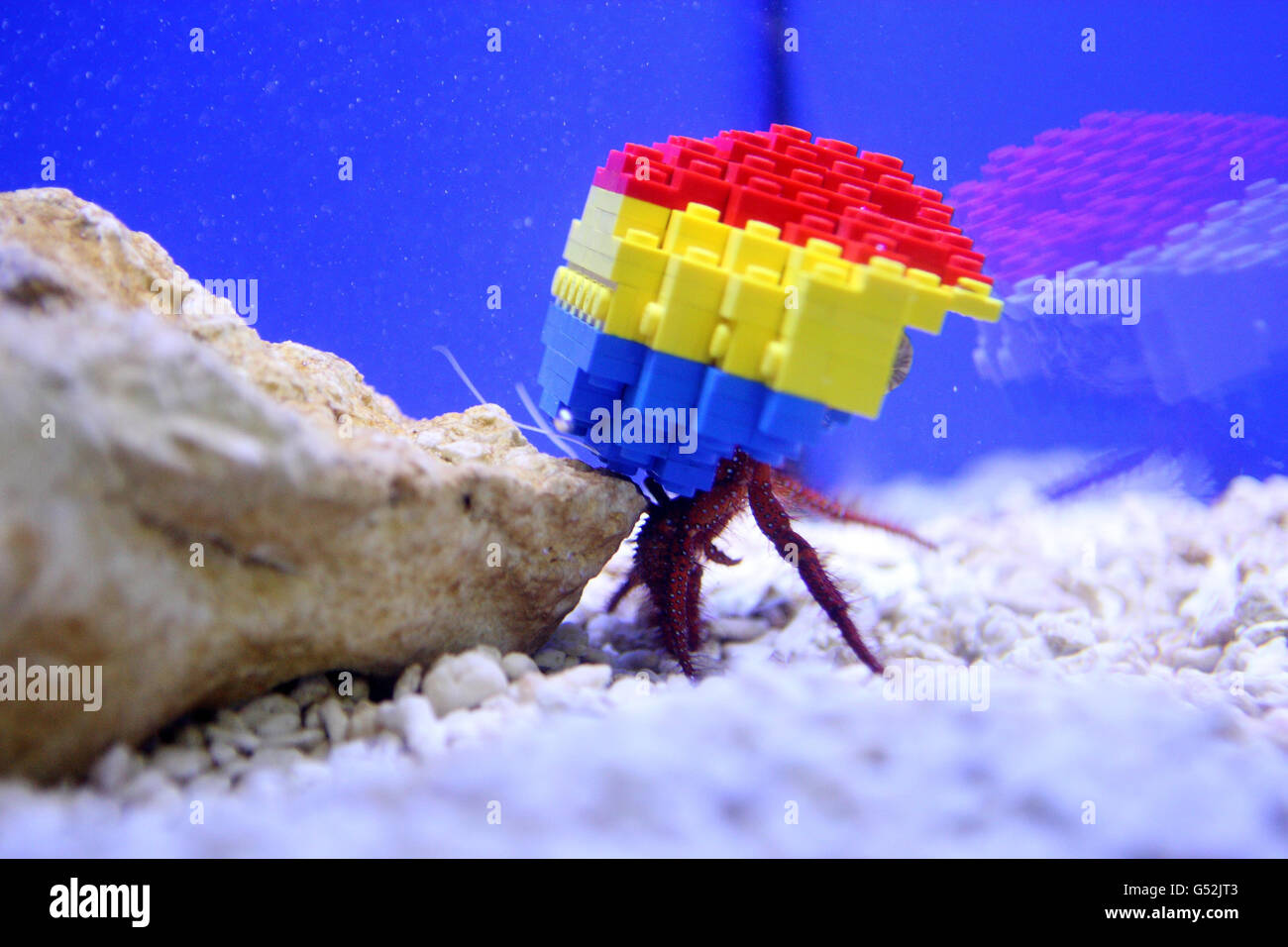 Hermit crab lego sale