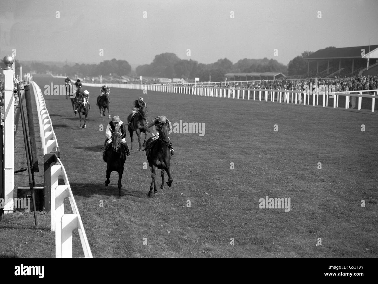 Jockey Lester Piggott (r), riding Mr M.W. Wickham-Boynton's 'Bracey Bridge' first past the post to win The Princess Royal Stakes frm secnd place Mr P. Oppenheimer's 'Miba' (E. Smith up), (left) and third place Countess Batthyany's 'Livia' (J. Purtell up), at Ascot. Stock Photo