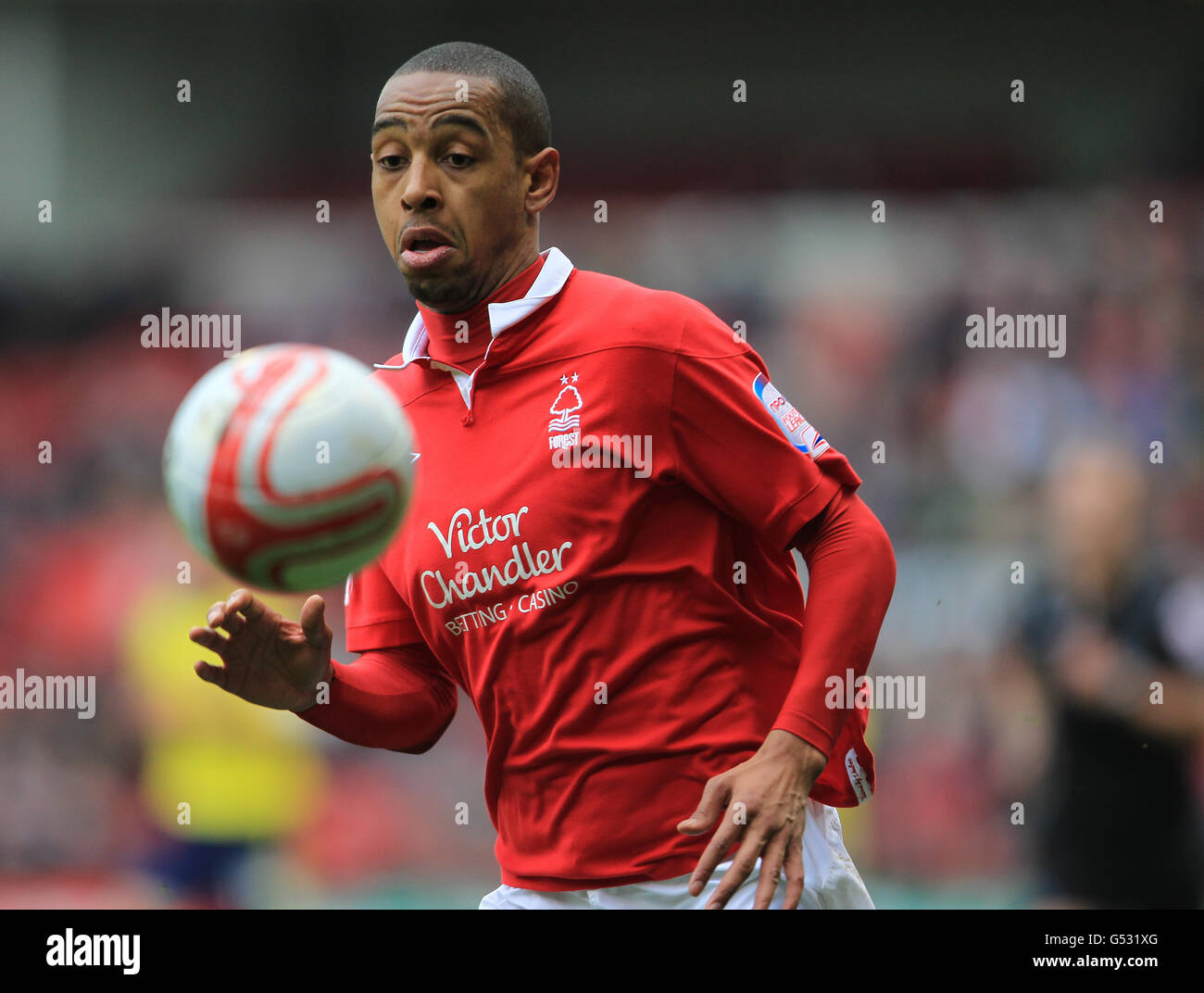 Sport - Soccer - npower Football League Championship - Nottingham Forest  Squad 2012/13 Stock Photo - Alamy