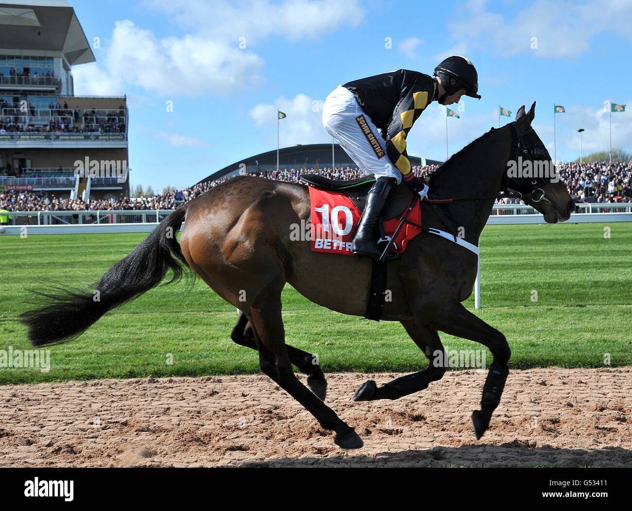 Goldback hires stock photography and images Alamy