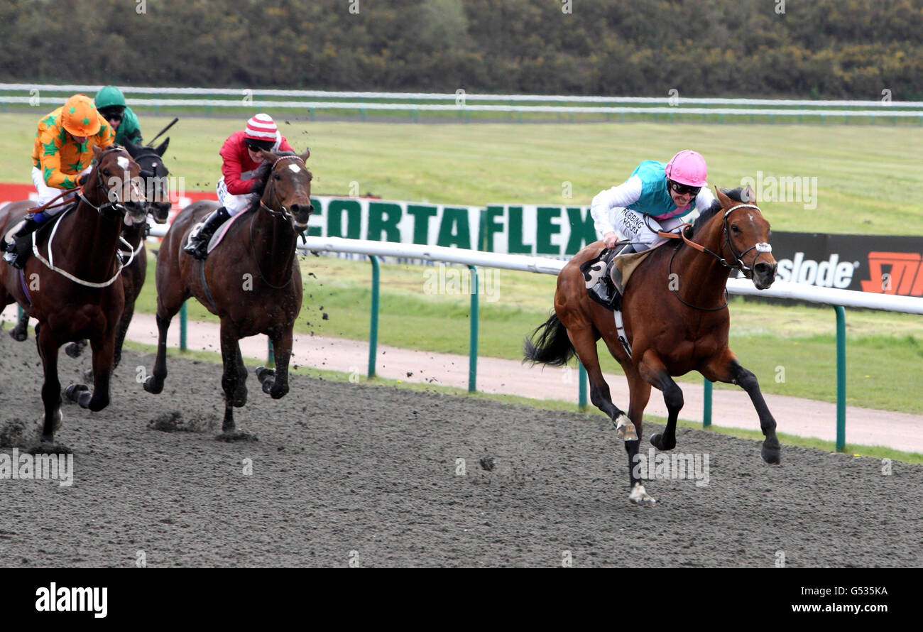 Horse Racing Lingfield Racecourse Stock Photo Alamy