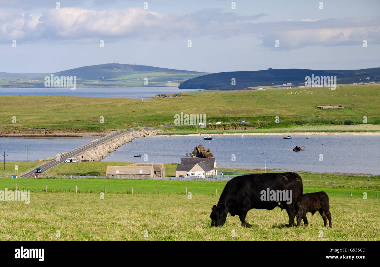 United Kingdom, Scotland, Orkney Islands, Churchill Barriers on the Orkney Islands, Churchill Barriers Stock Photo