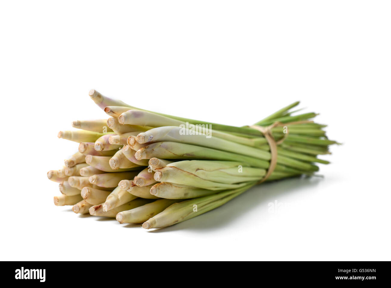 lemon grass bundle isolated on white Stock Photo