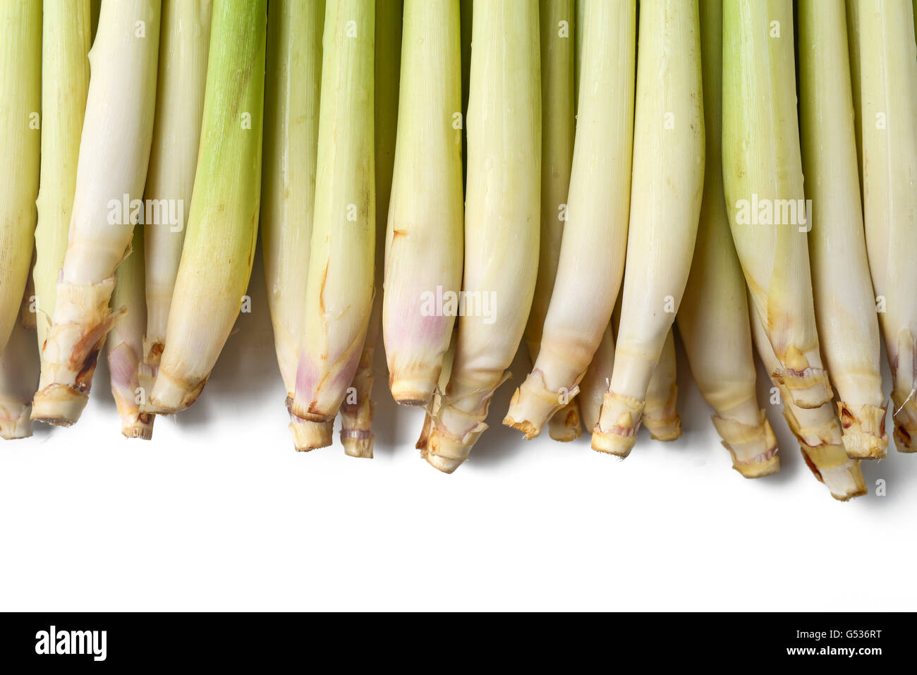 lemon grass Stock Photo